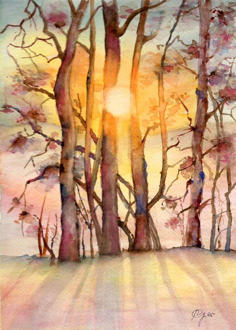 Alberi